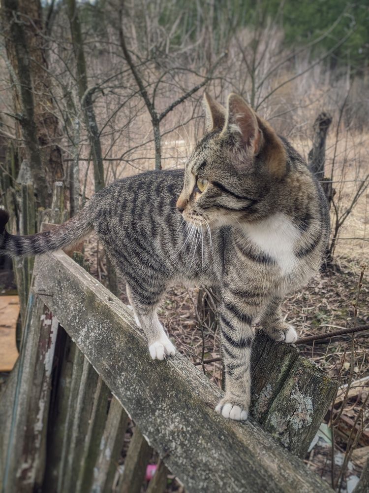 Photograph by Наталья Егорова