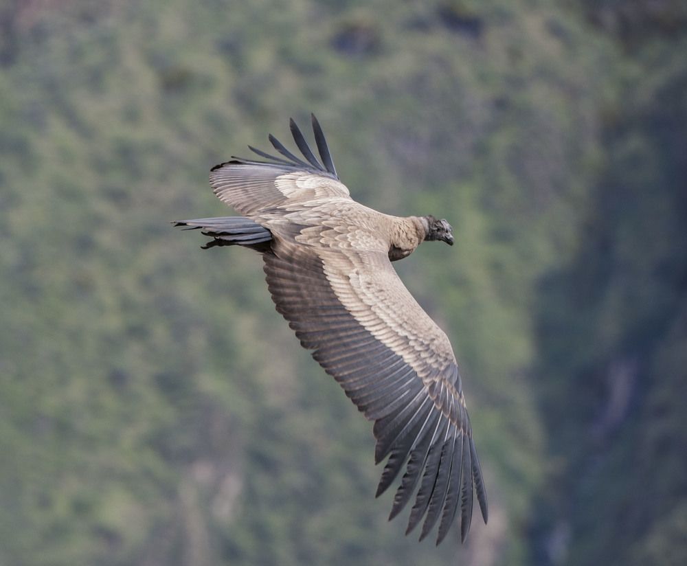 Фотография автора Oskars Smelins