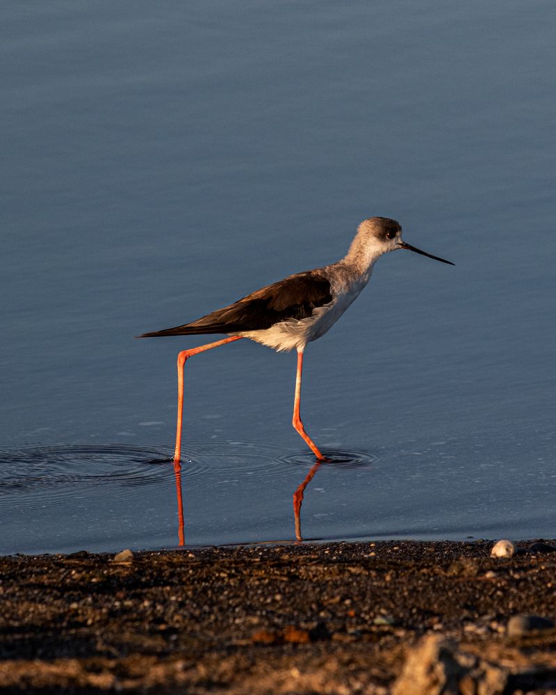 Photograph by Николай Шарлай