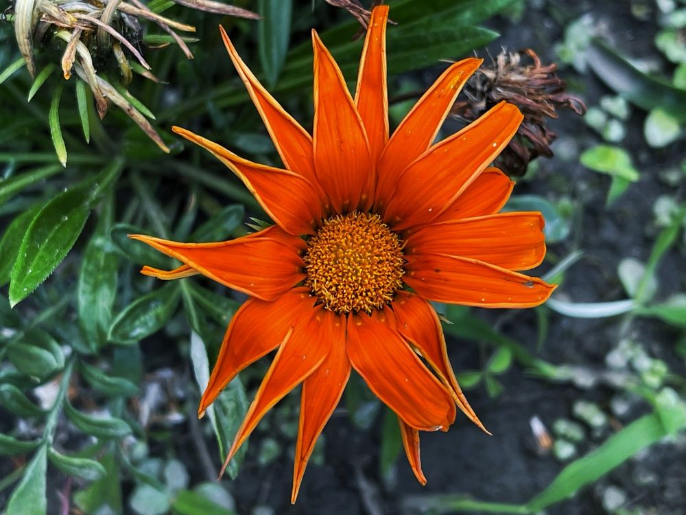 Photograph by Олег Кипкаев