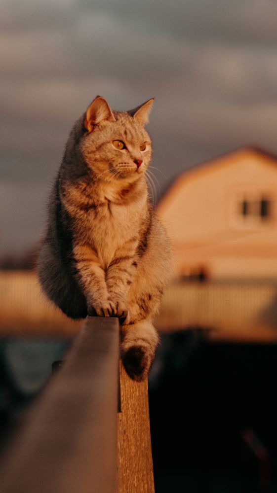 Photograph by Евгений Калагаев