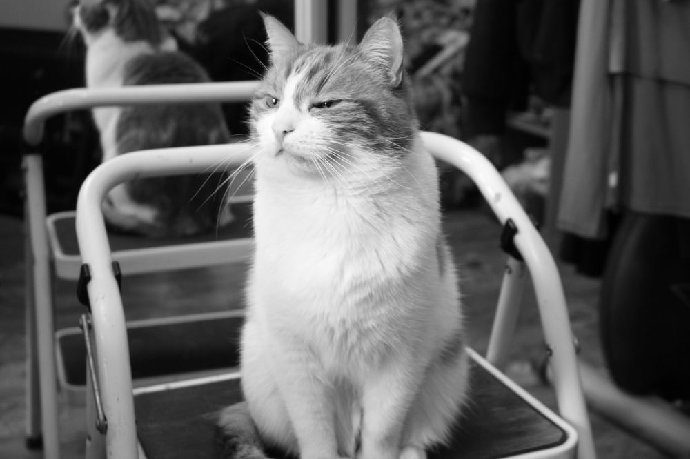 Photograph by Nick Astakhov