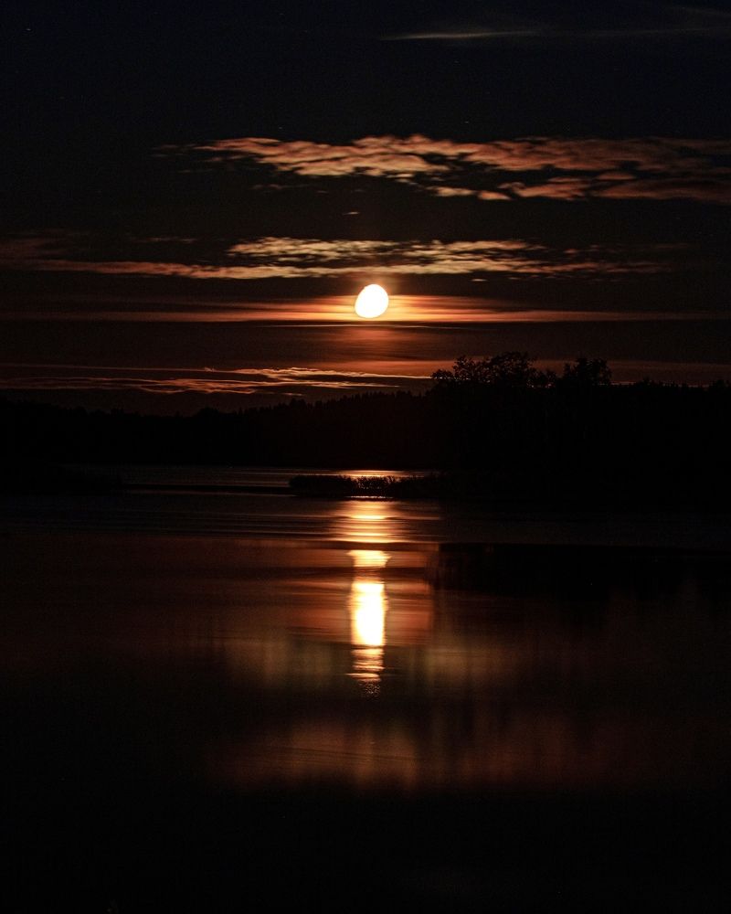 Photograph by Николай Шарлай