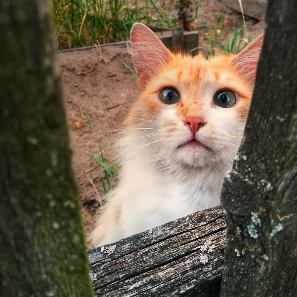 Photograph by Евгений Калагаев