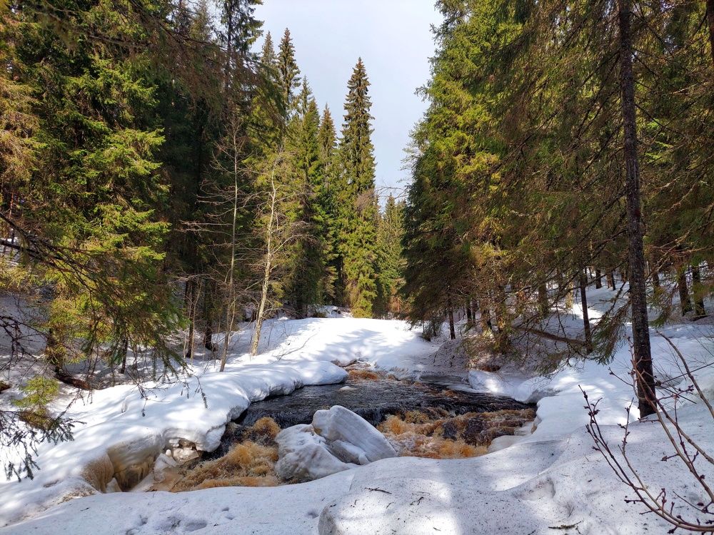 Photograph by Андрей Нурулин