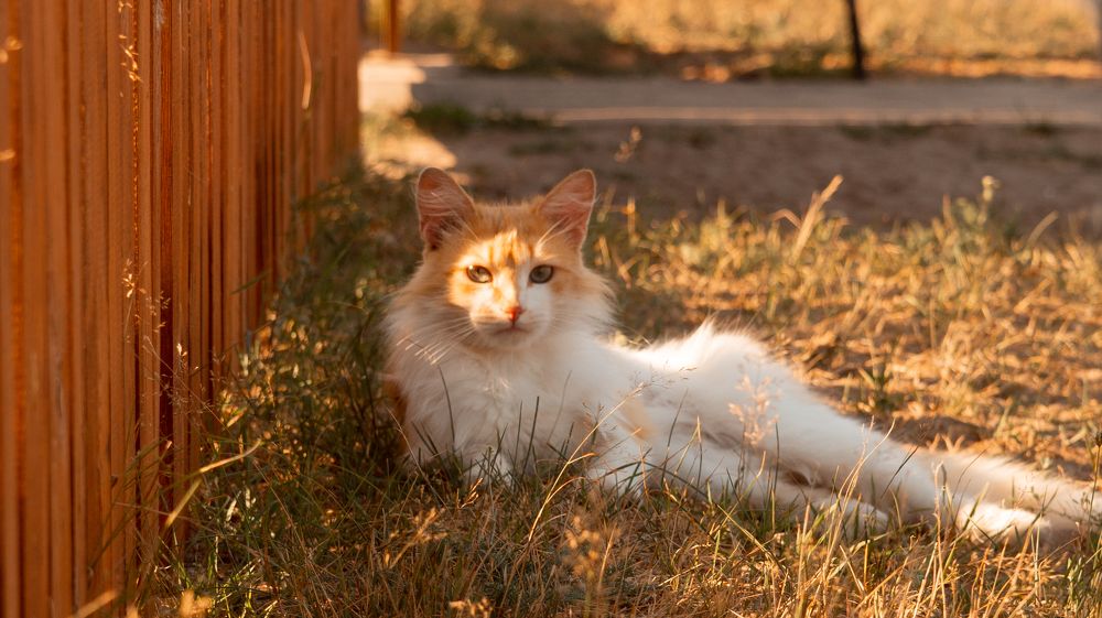 Photograph by Евгений Калагаев