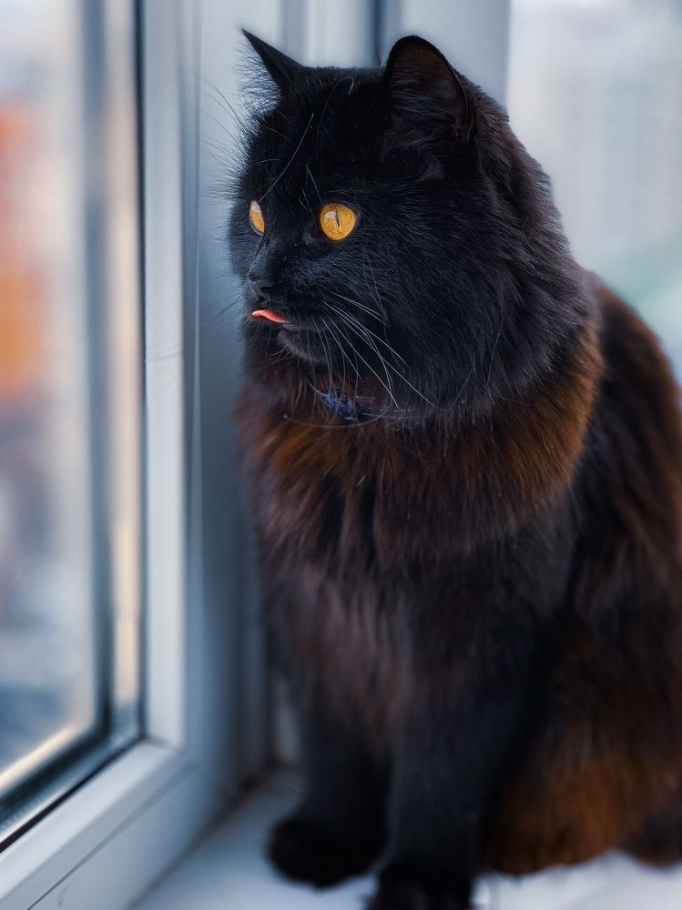 Photograph by Анастасия Астахова