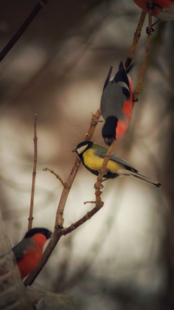 Photograph by Евгений Калагаев