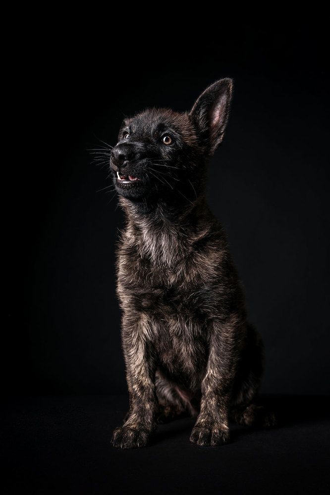 Photograph by Victoria Butova