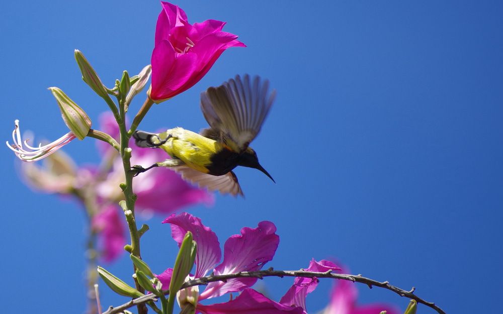Photograph by Николай Фонарёв