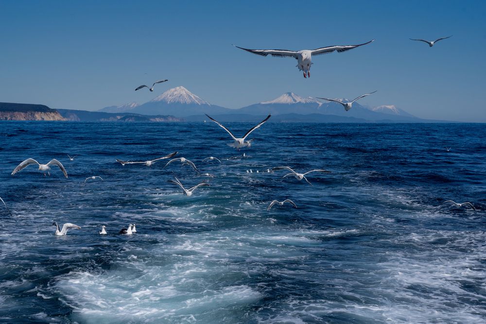 Photograph by Николай Фонарёв