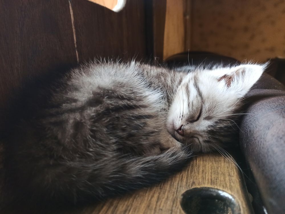 Photograph by Victoriia