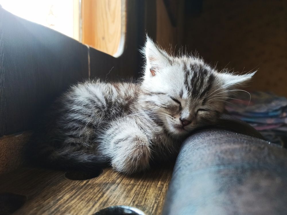 Photograph by Victoriia