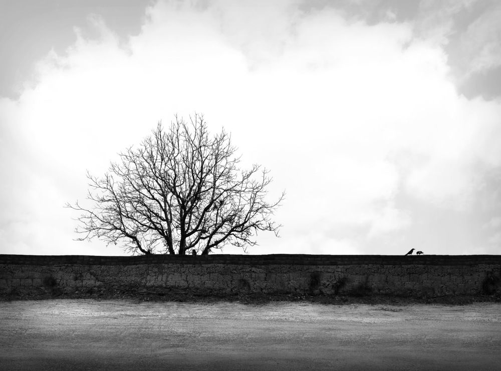 Photograph by Sanaz Babaei