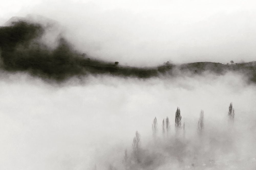 Photograph by samaneh jamali
