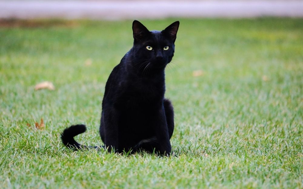 Photograph by Babak Akvan