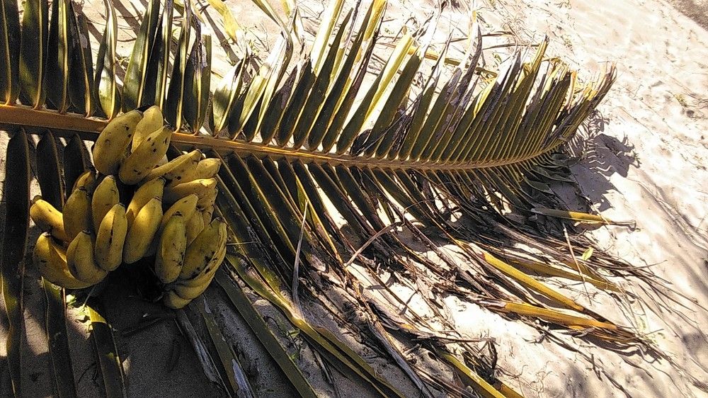 Photograph by Baiba Mennika Paegle