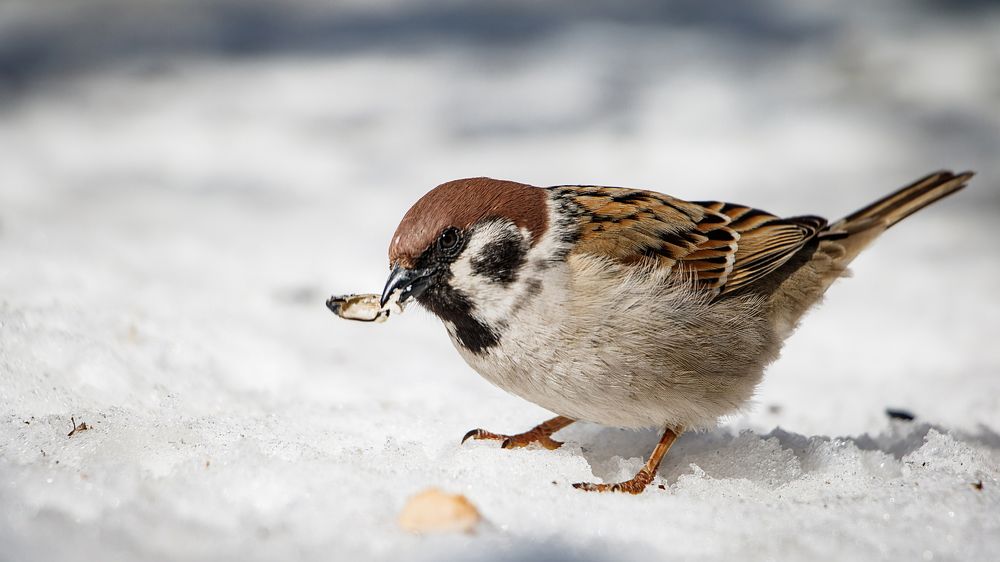 Photograph by Александр Филатов