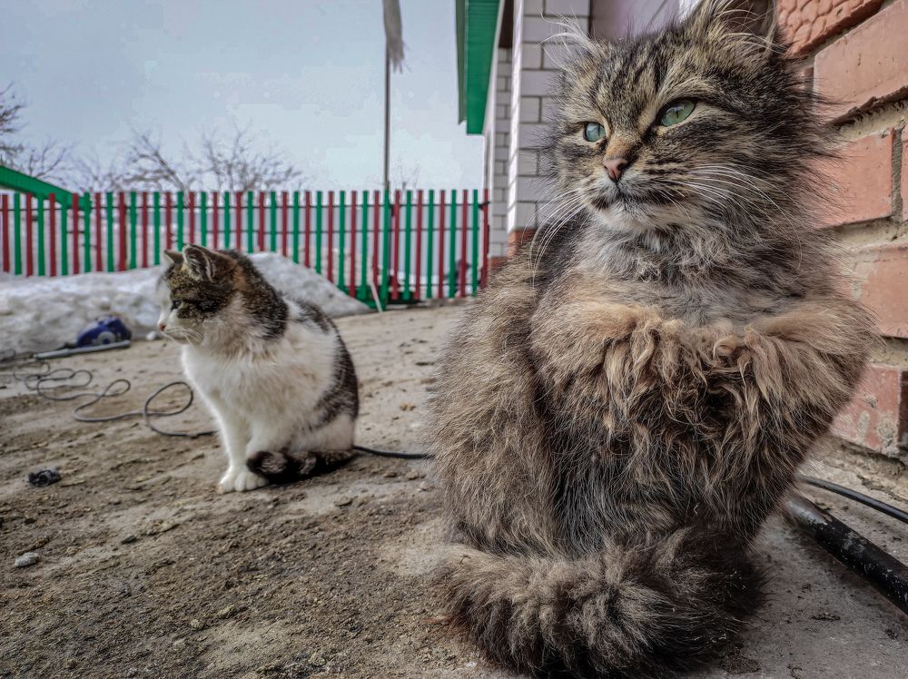 Photograph by Сергей Миронов