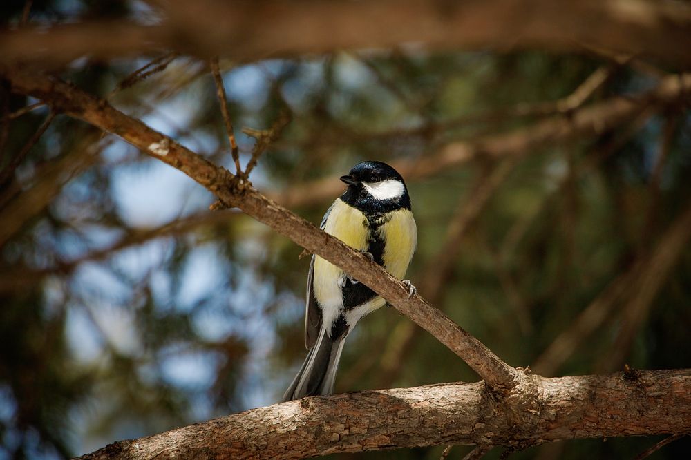 Photograph by Александр Филатов