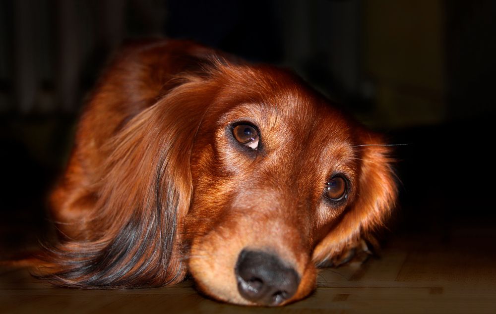 Photograph by Evgeniia Iakimenko