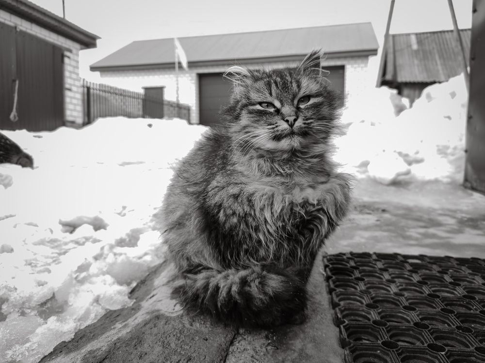 Photograph by Сергей Миронов