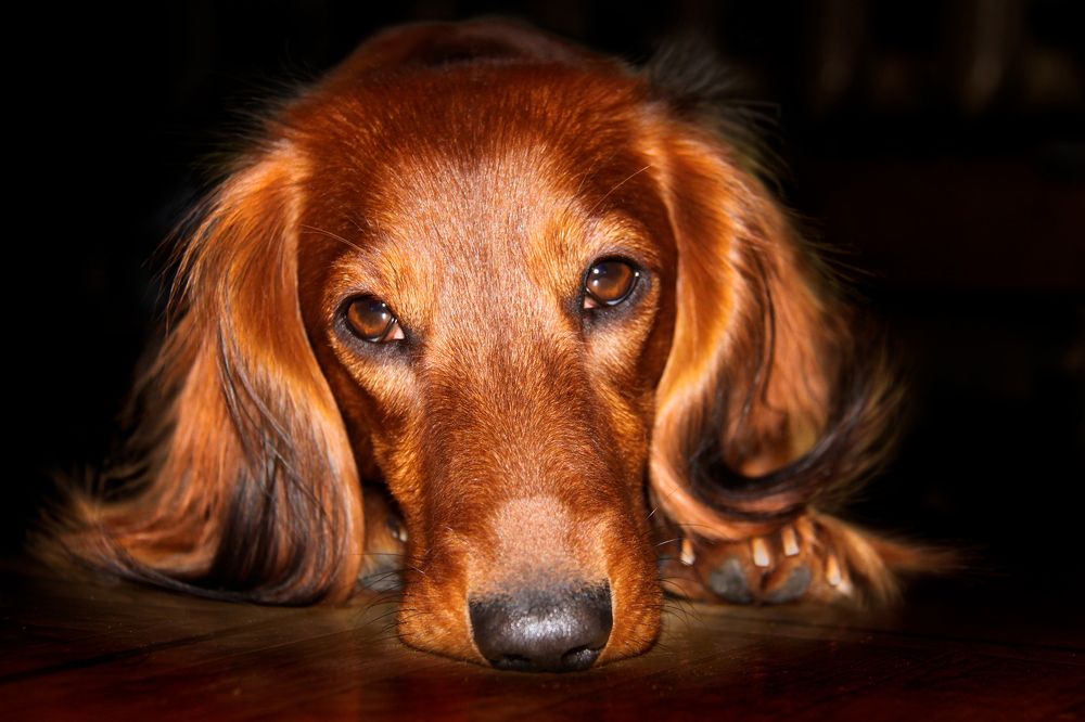 Photograph by Evgeniia Iakimenko