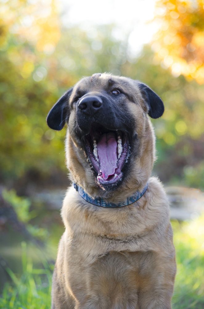 Фотография автора Кристина Данилюк