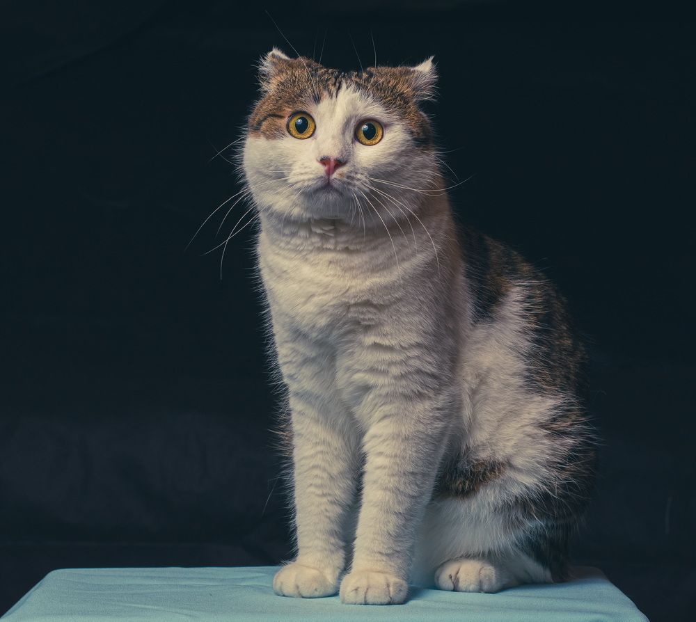 Photograph by С Павел