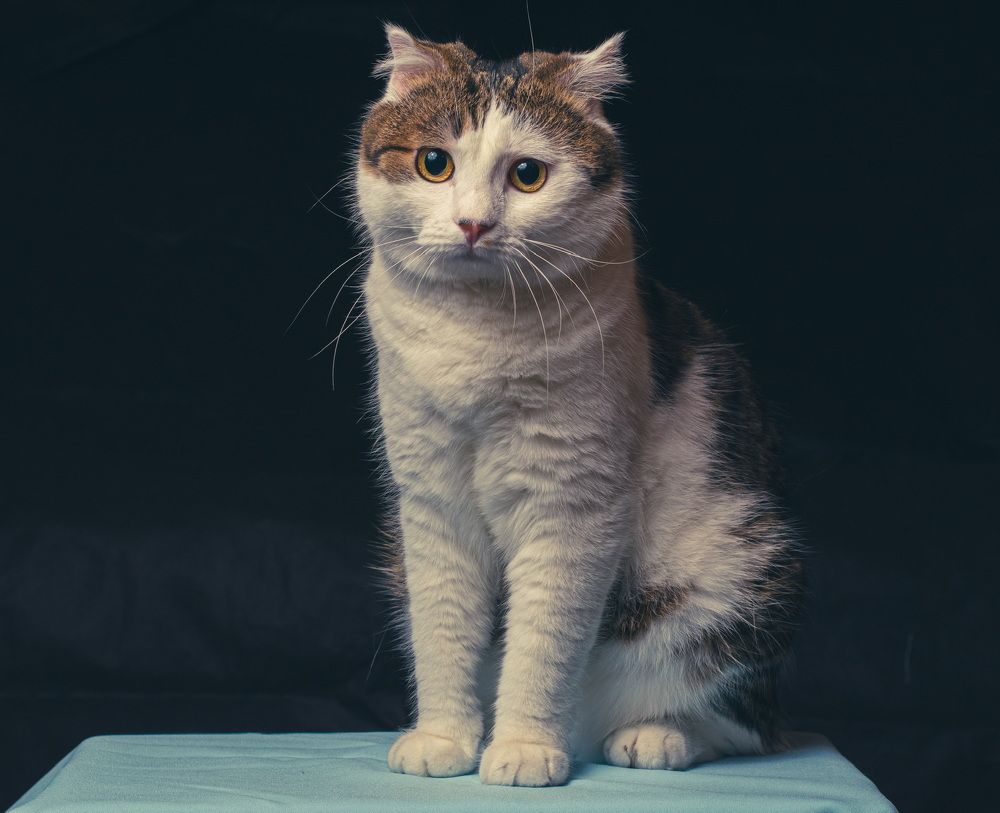 Photograph by С Павел