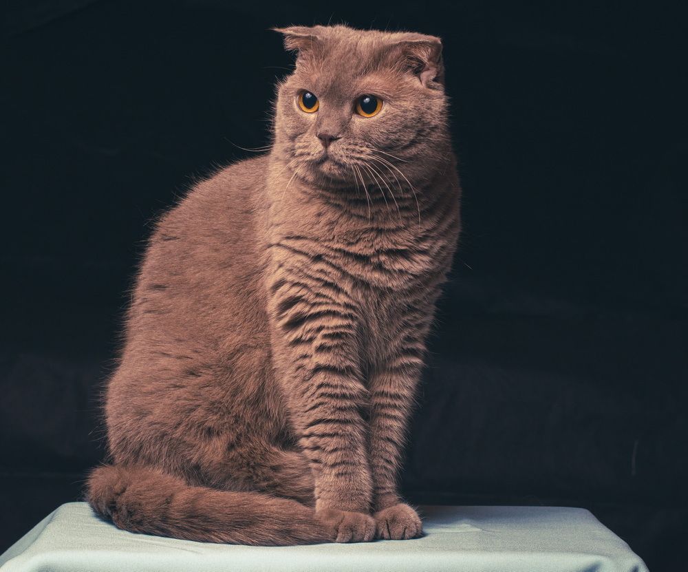 Photograph by С Павел