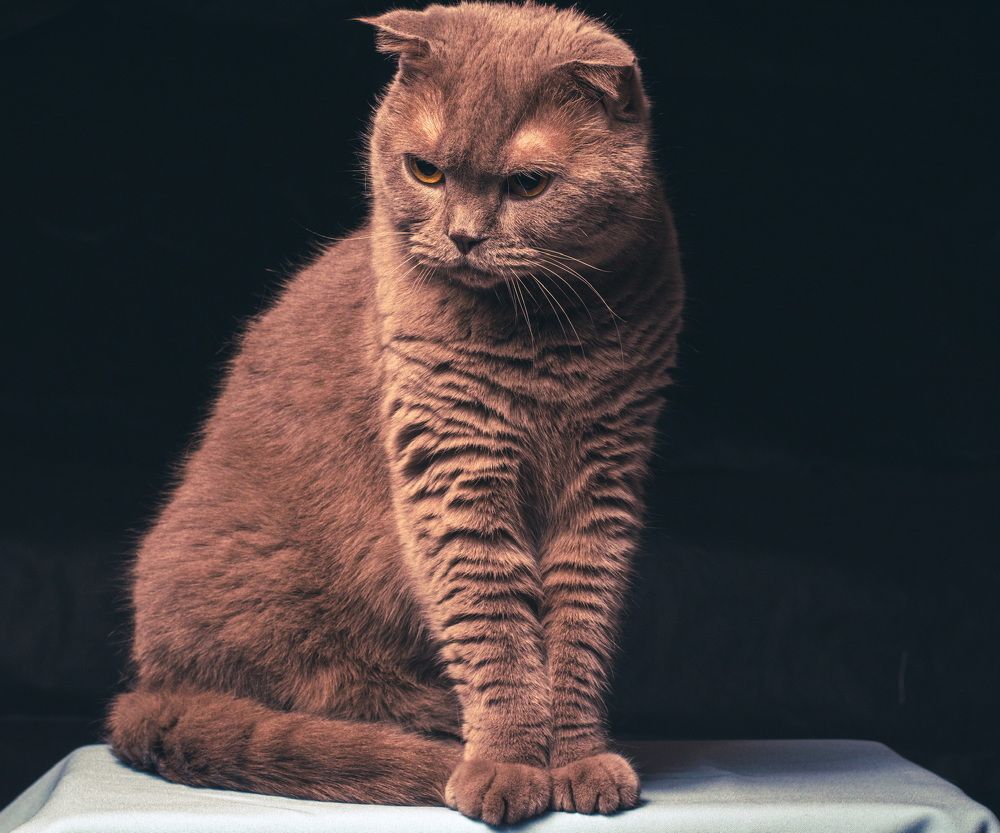 Photograph by С Павел