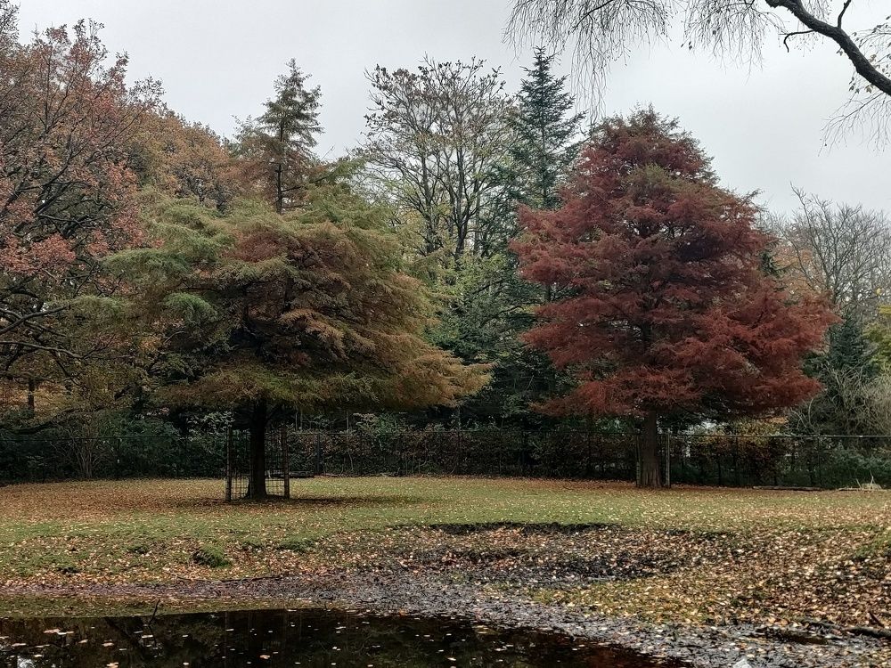 Photograph by Anja kroes