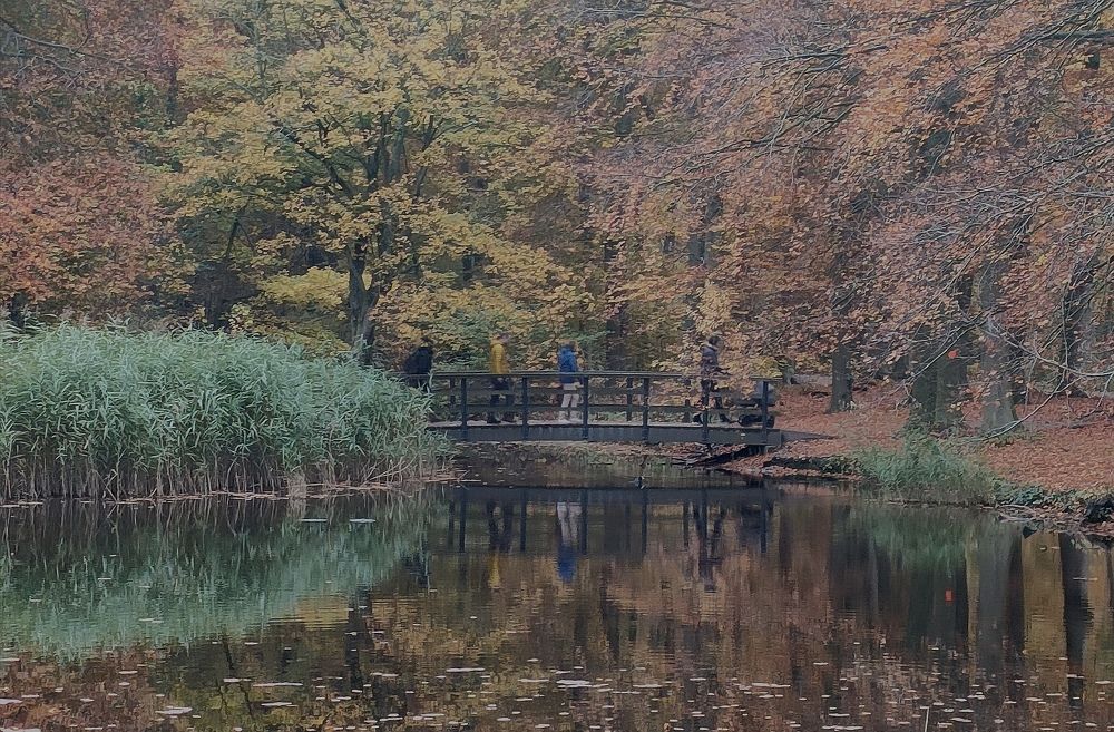 Photograph by Anja kroes