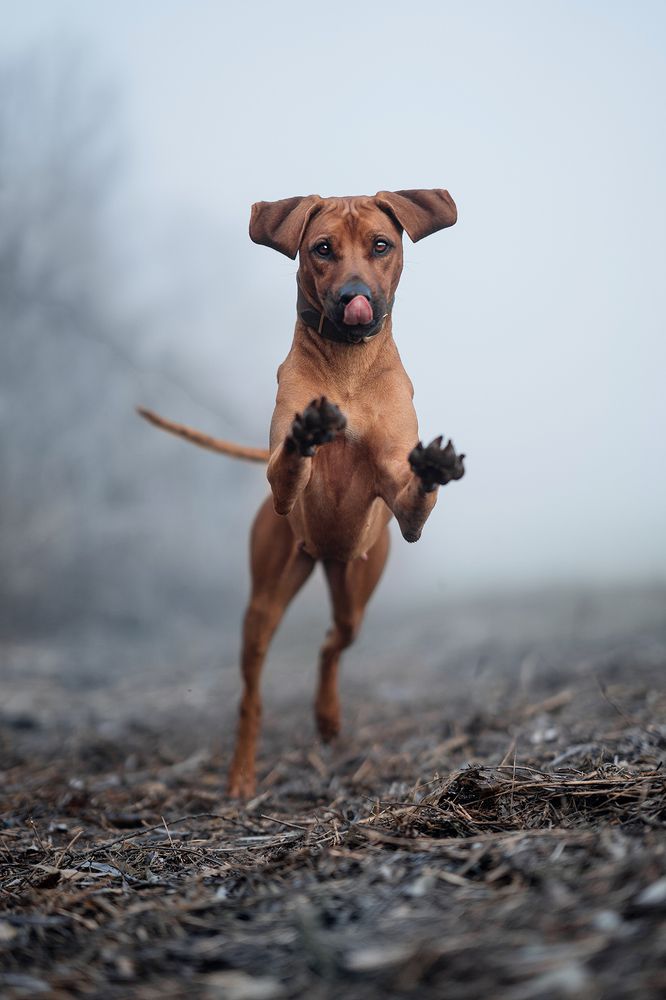 Photograph by Victoria Butova