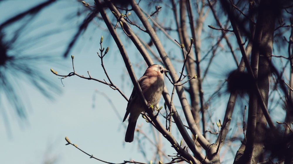 Photograph by Алёна Бондаренко