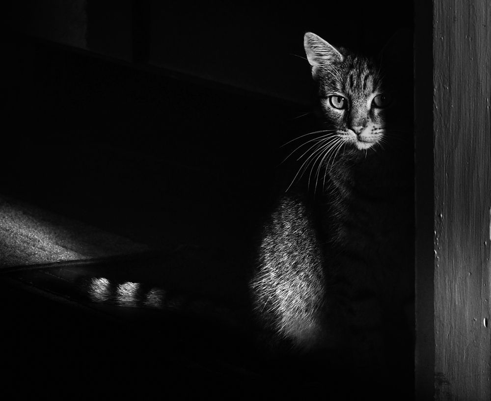 Photograph by Ольга Еженевская