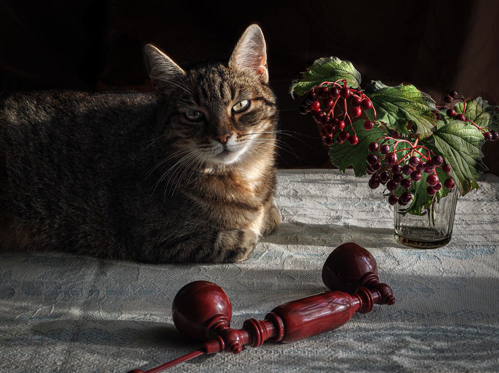 Photograph by Ольга Еженевская