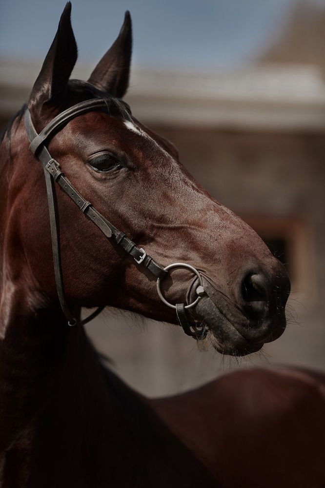 Photograph by Елена Звягина