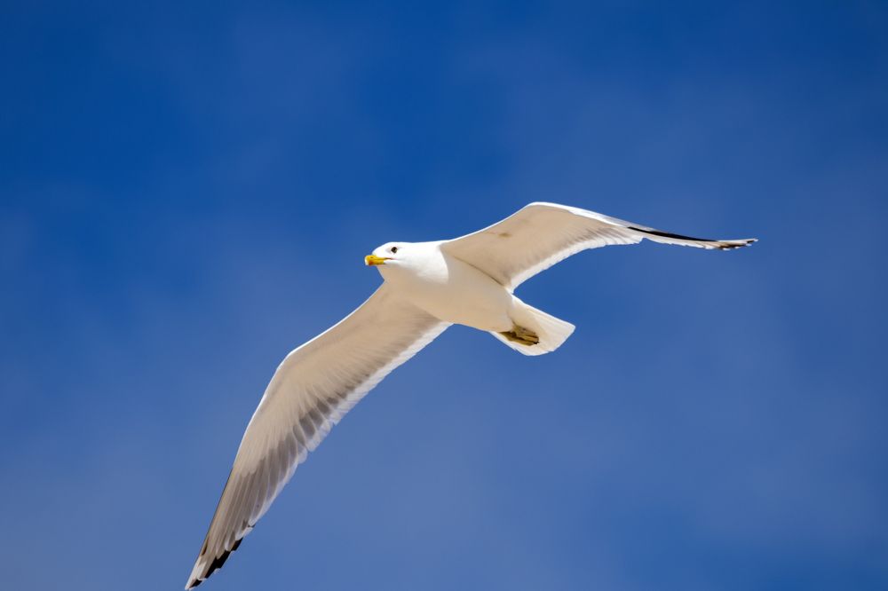 Photograph by Дмитрий Тимин