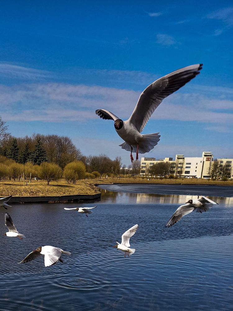 Photograph by Svetlana Yurasova