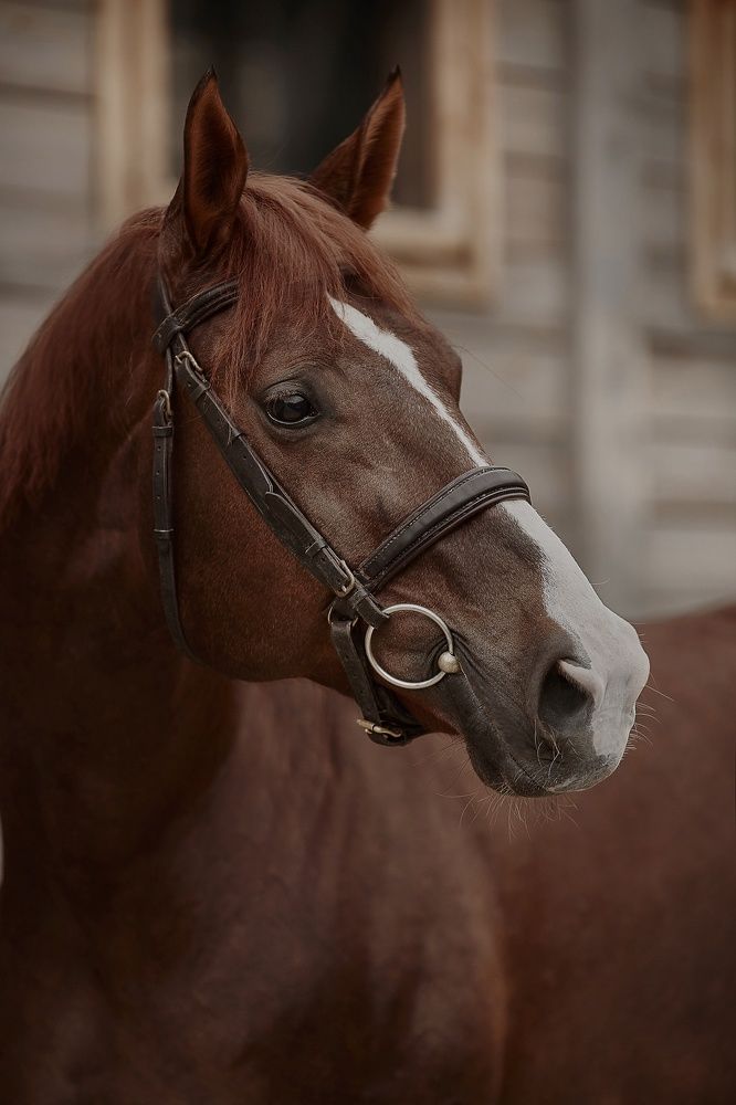 Photograph by Елена Звягина