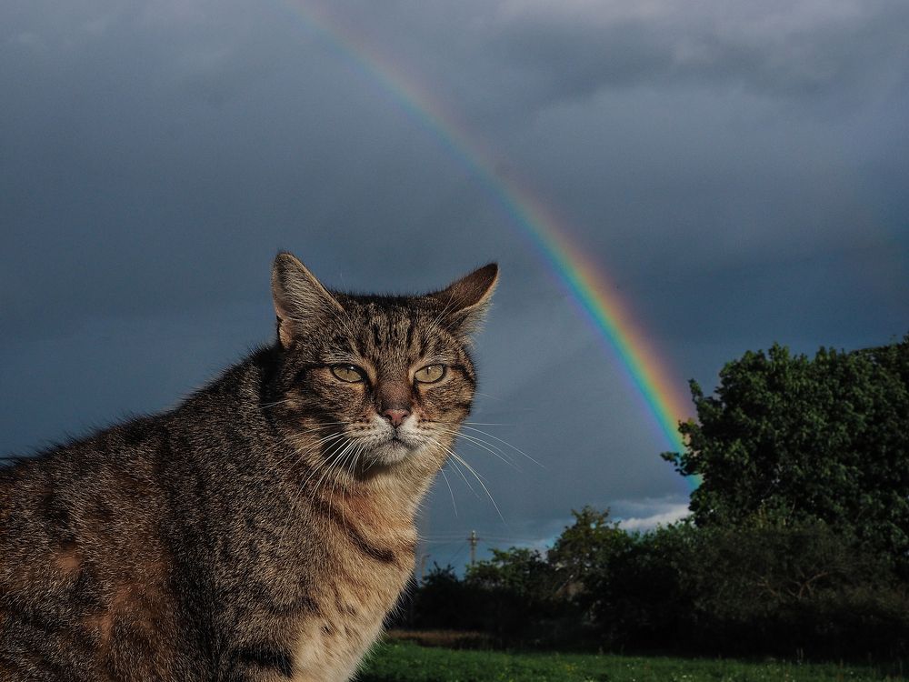 Photograph by Ольга Еженевская