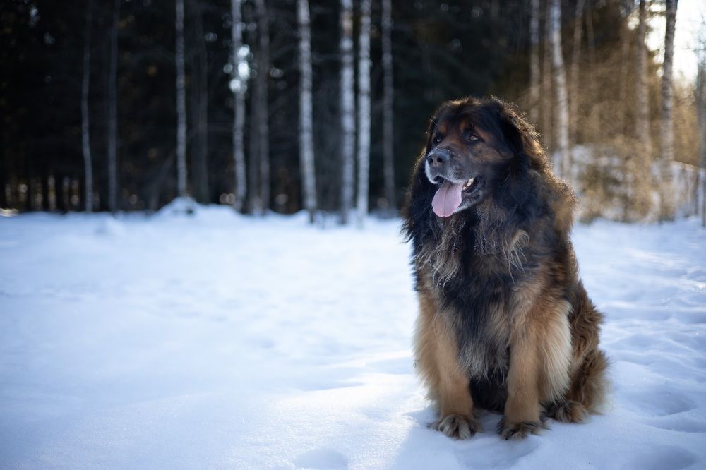 Photograph by Елена Митина