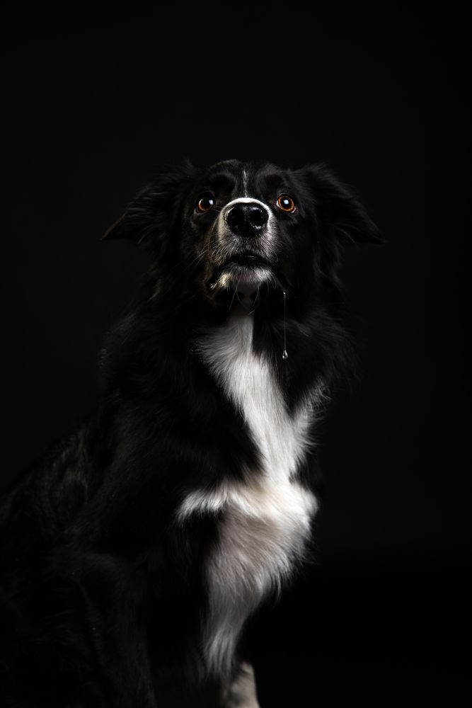 Photograph by наталья залогина