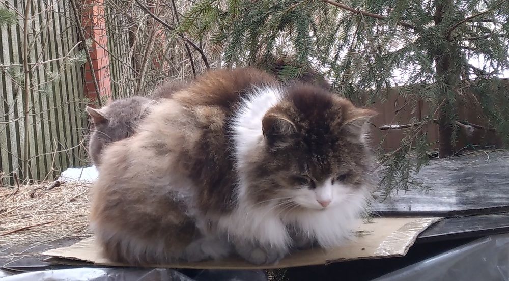 Photograph by Любовь Макарова