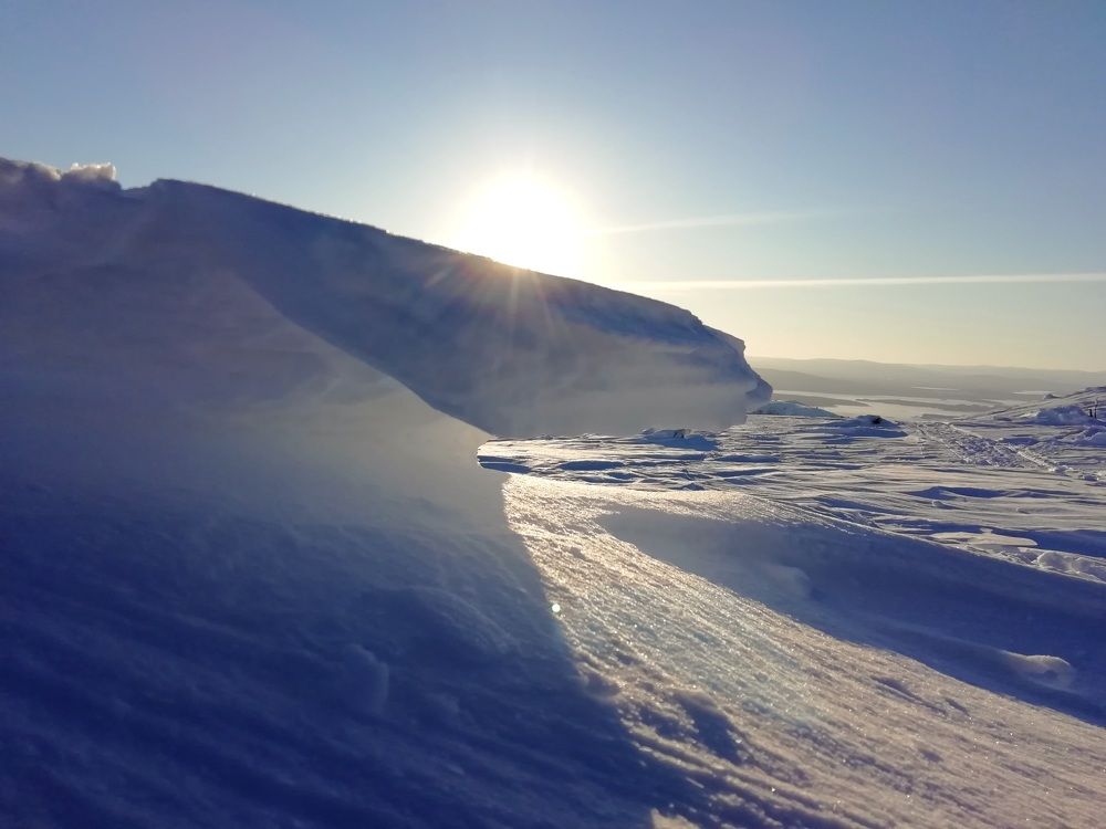 Photograph by Светлана