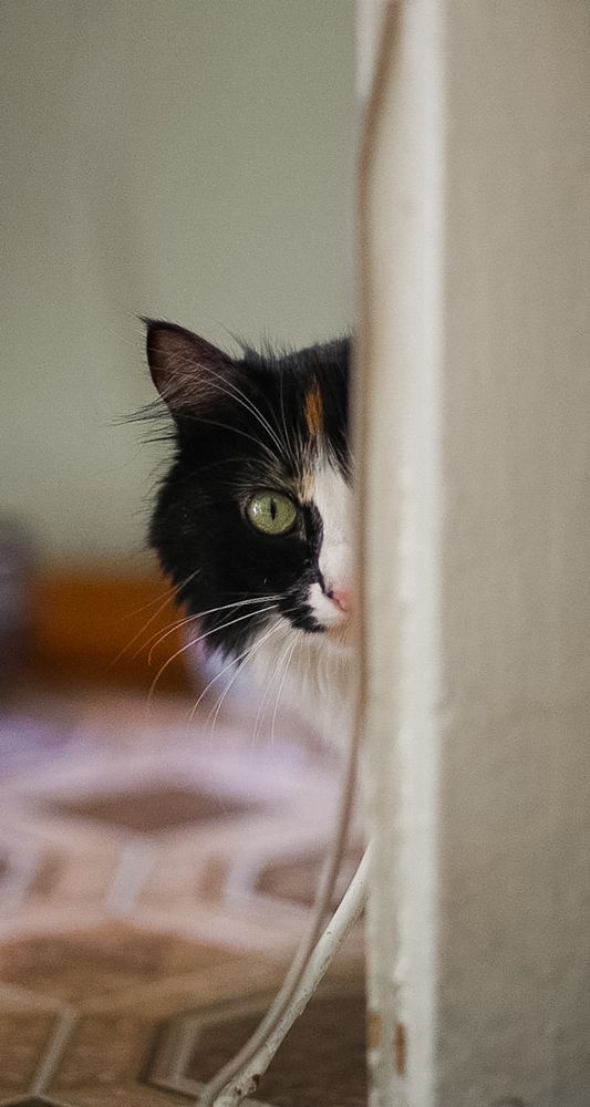 Photograph by Елена Жакова