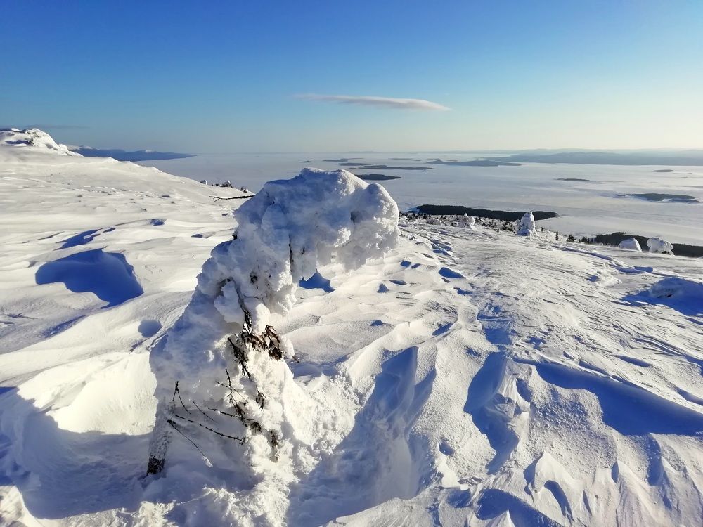 Photograph by Светлана