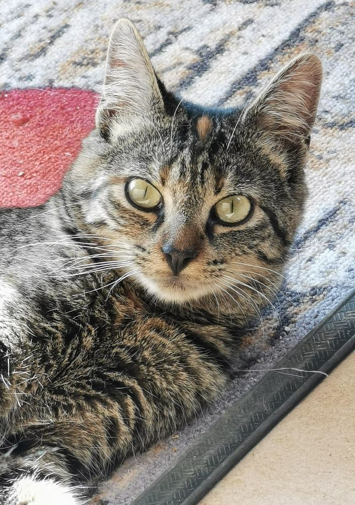 Photograph by Marie-Helene KUHN